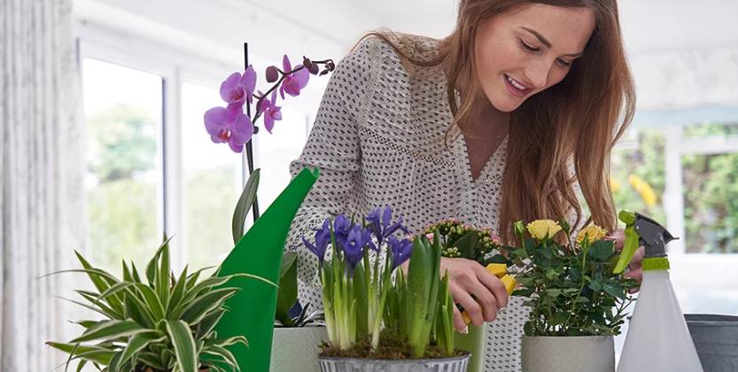 Você está visualizando atualmente 5 dicas de como cuidar de plantas de forma fácil