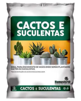 Terra especial Cactos e Suculentas